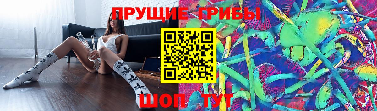 Лесосибирск  Псилоцибиновые грибы GOLDEN TEACHER  Вход с VPN 